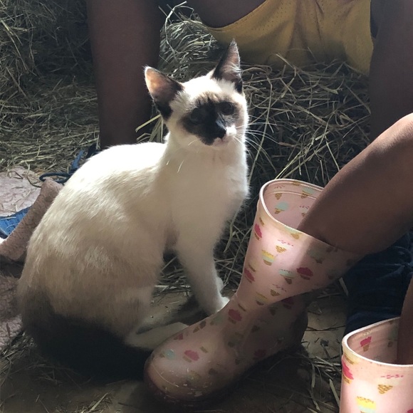 Meet your Posher, Laura - Picture 1 of 1